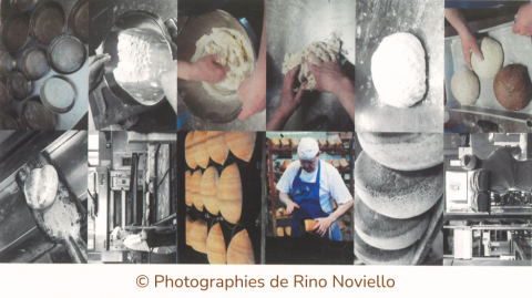 Crédits expo photo Rino Noviello