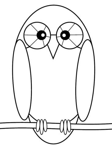 Dessin de chouette