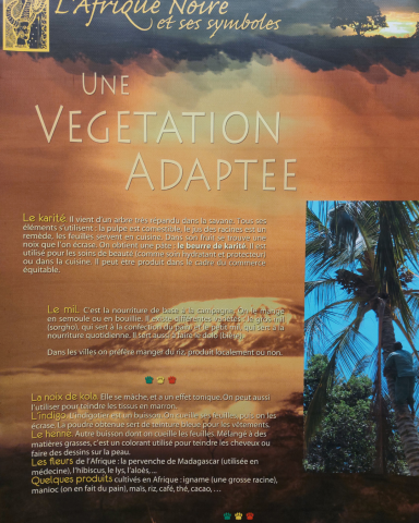 Photo d'un panneau de l'expo sur l'Afrique noire