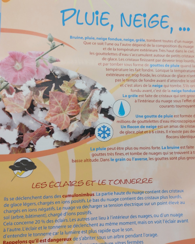 Le climat